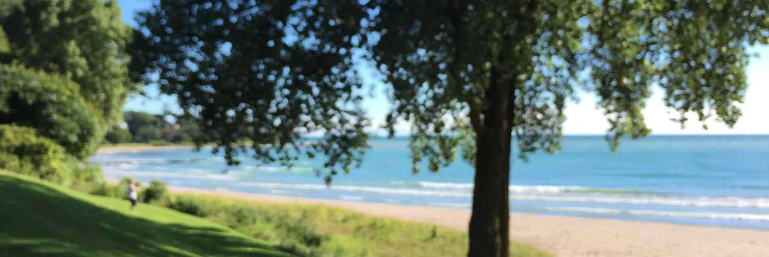 sarahjfenn's profile banner image