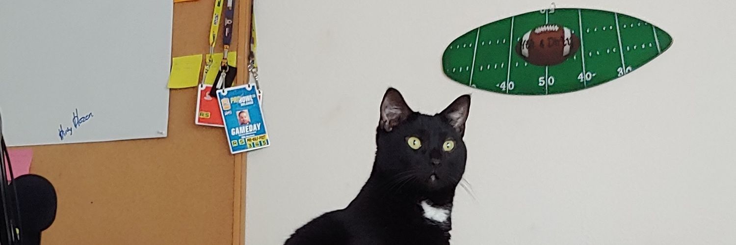 MadonnaJesse's profile banner image
