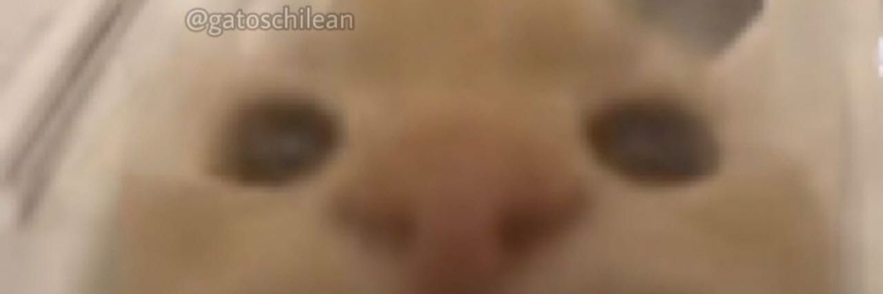 Sol_Martinez_13's profile banner image