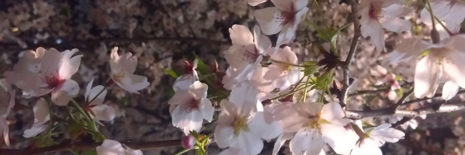KaridakaKinoko's profile banner image