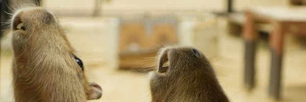 peach18andGL Profile Banner