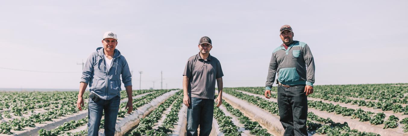 Berkeley Food Institute banner