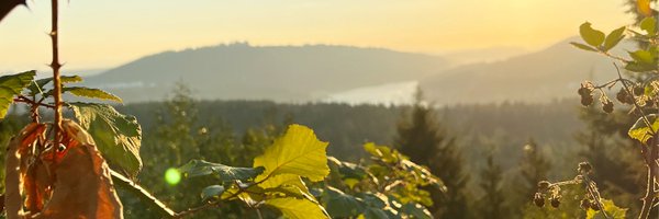 DmitriAtSafe Profile Banner