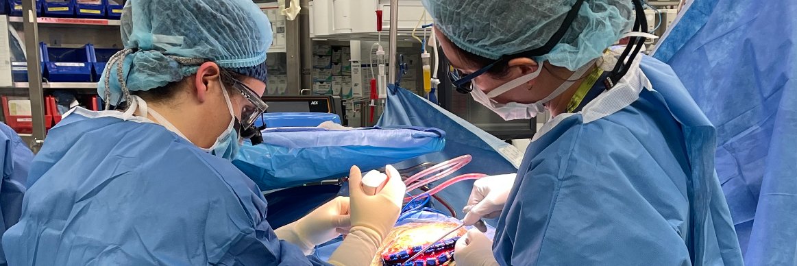 Danielle Golub, MD, MSCI's banner