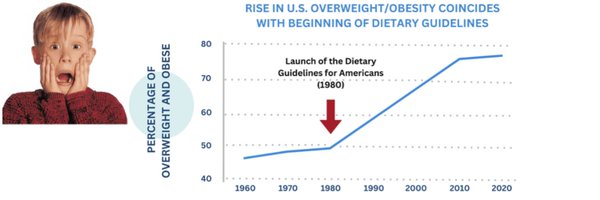 curiouslobster_ Profile Banner