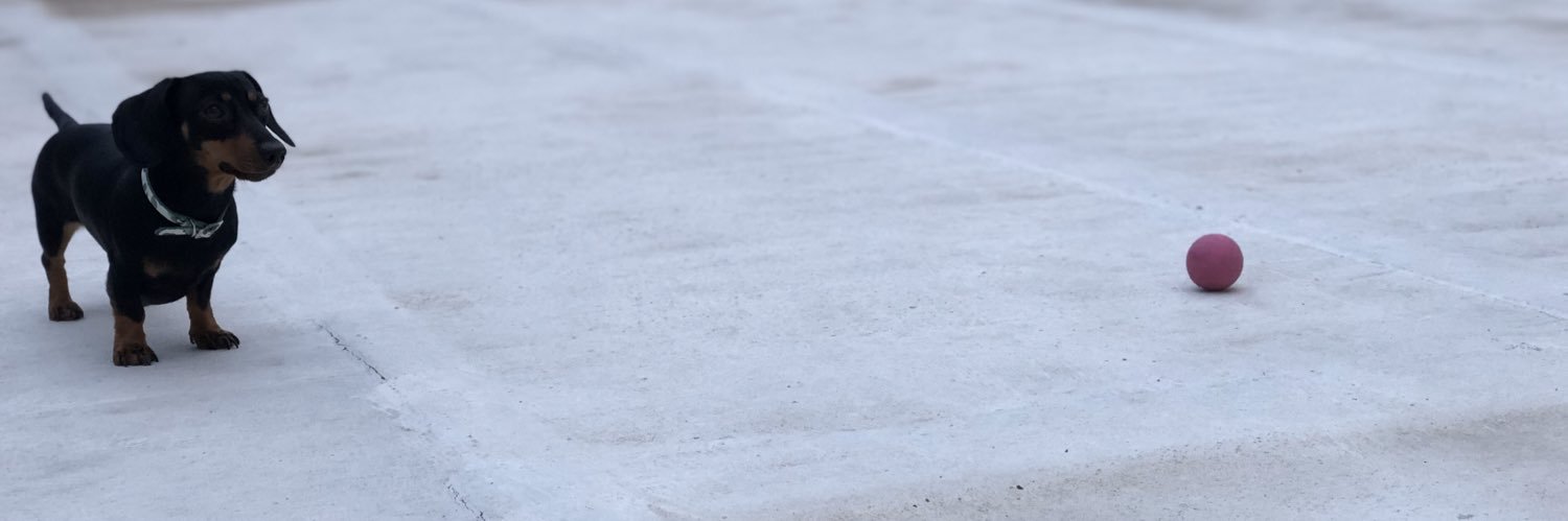 Annicastro_'s profile banner image