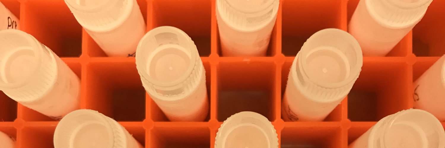 Dr. Tierney Lorenz banner