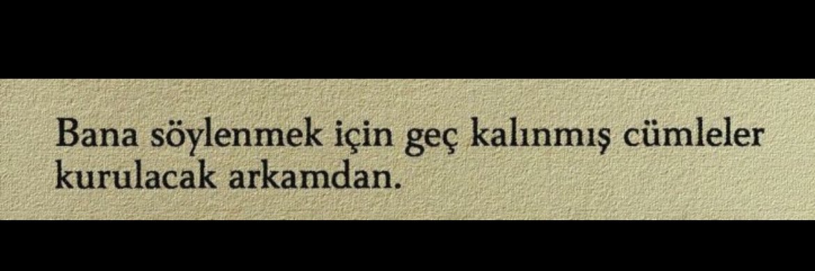 elif_ergan's profile banner image