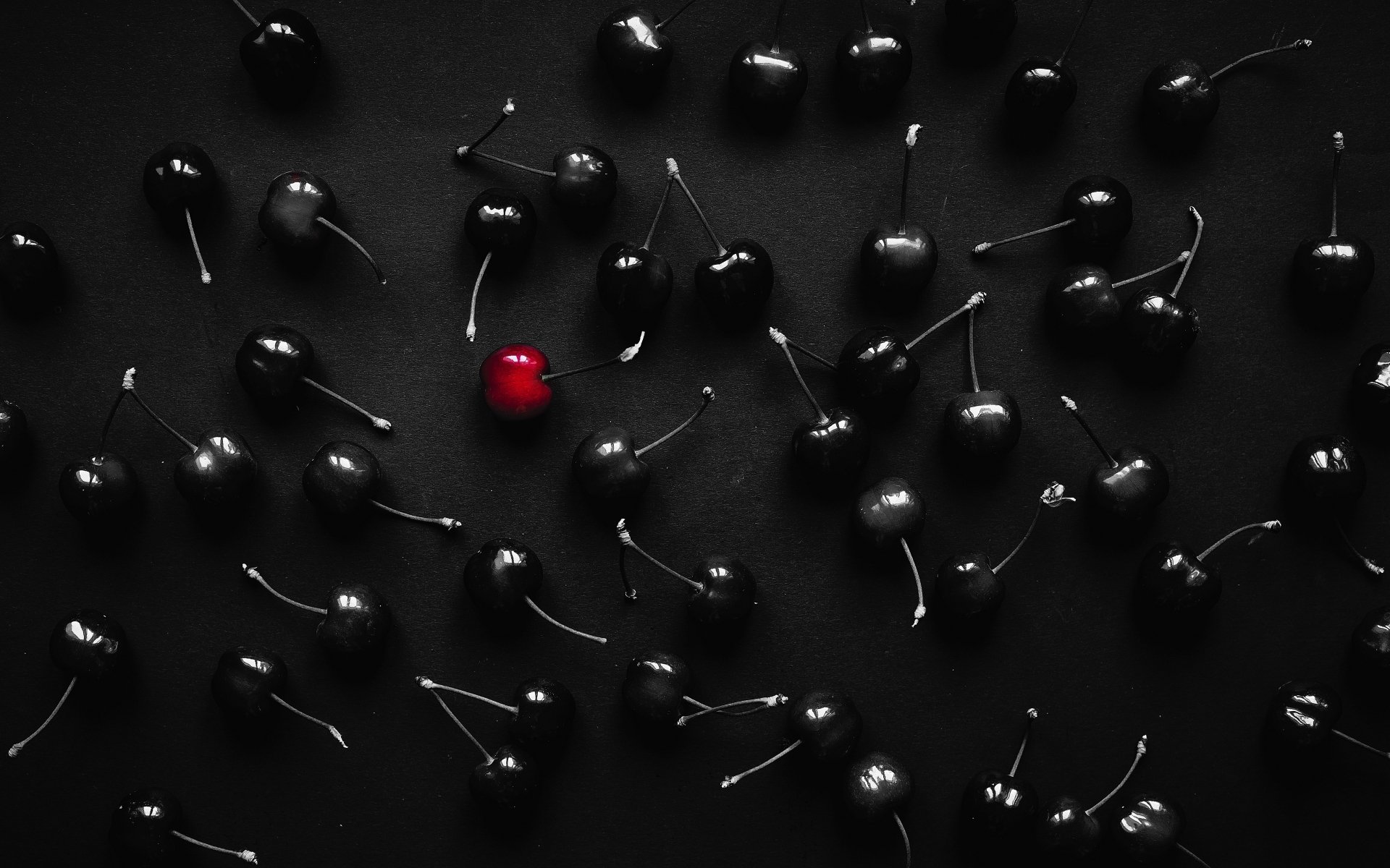 ColladoSto81302's profile banner image