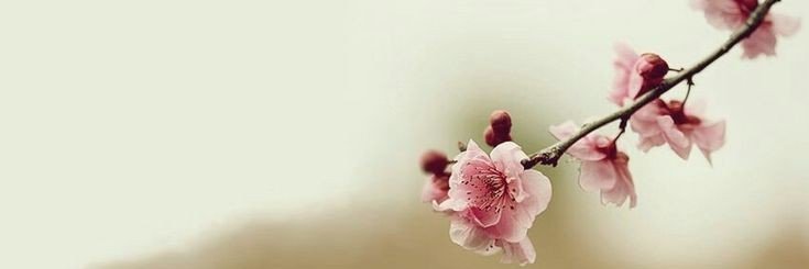 lindaecomplexa's profile banner image