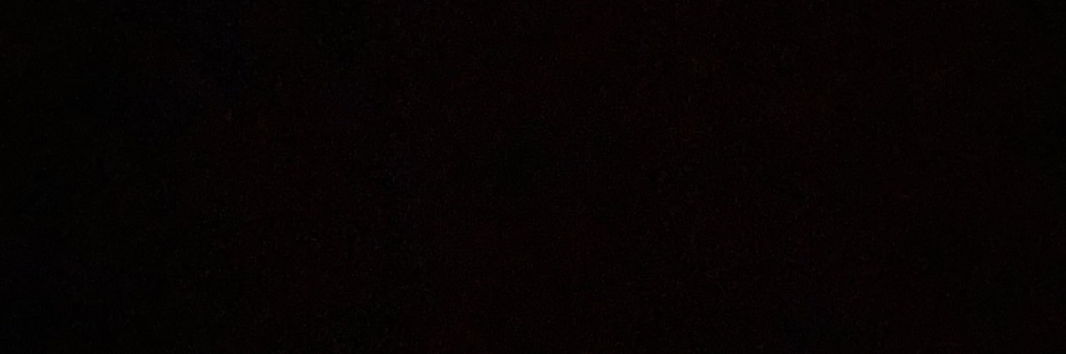 picereys's profile banner image