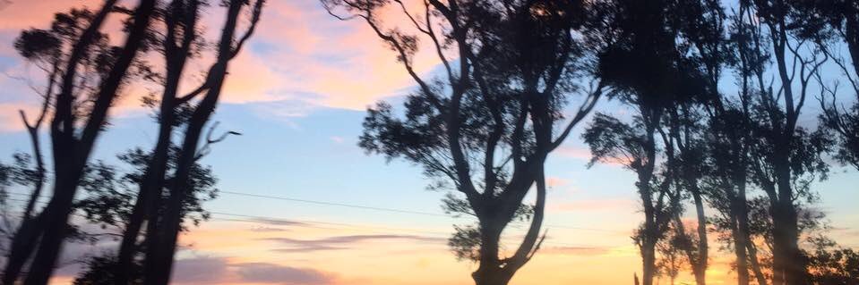 fiovidal3's profile banner image