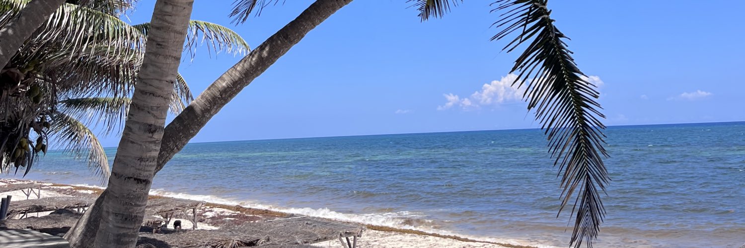 Land of the Free 🇺🇸 banner