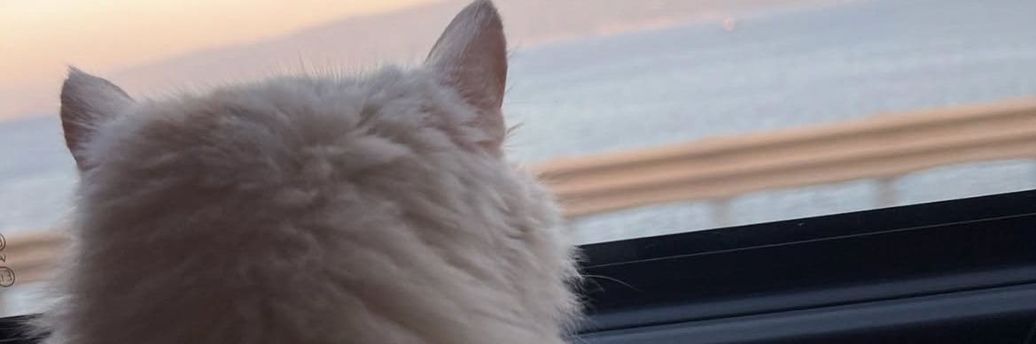 pumpkinnball's profile banner image