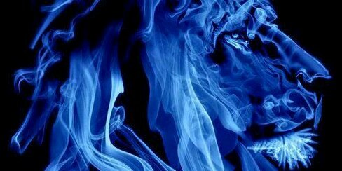 brunocr1905's profile banner image