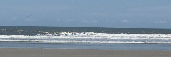 DarcyApples Profile Banner