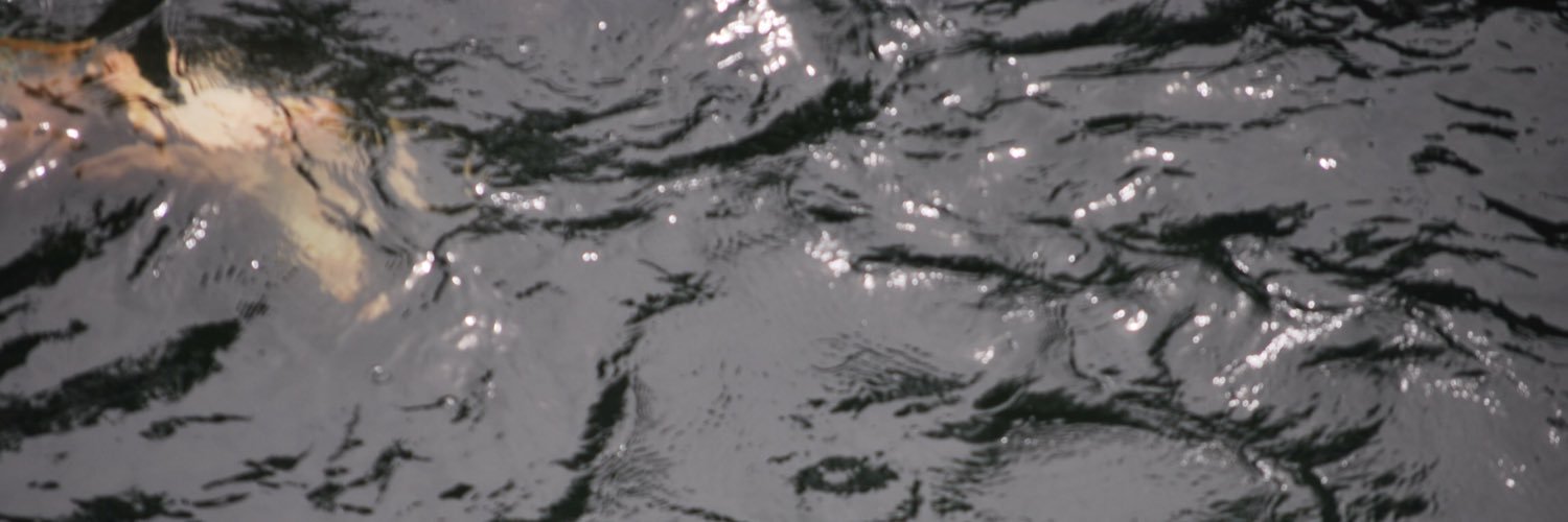 patricktrillson's profile banner image