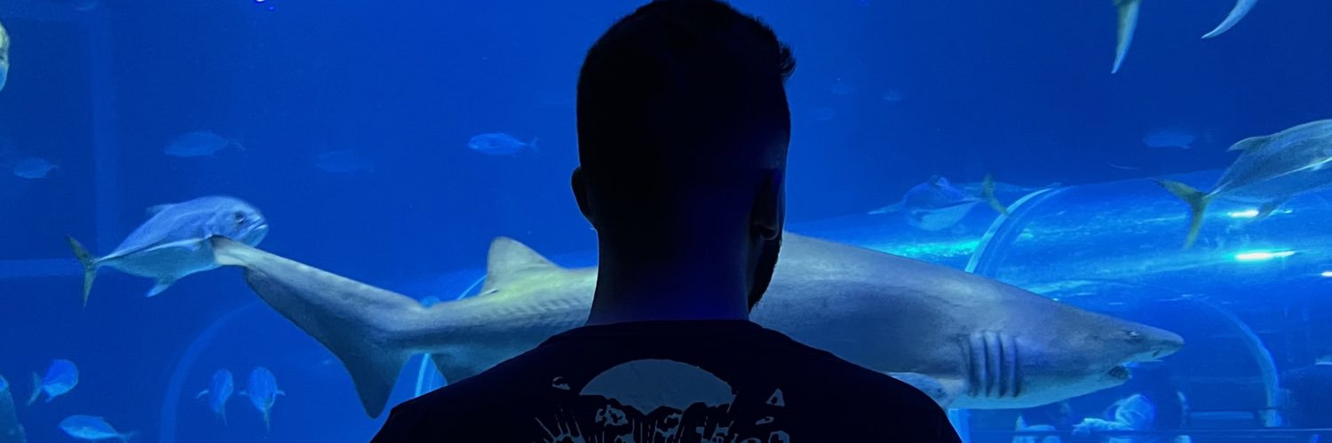 Victor_Risa's profile banner image