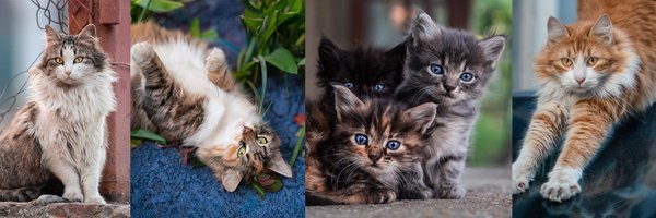 friedly_21's profile banner image