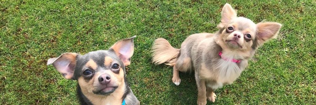 BeckyWhicker's profile banner image