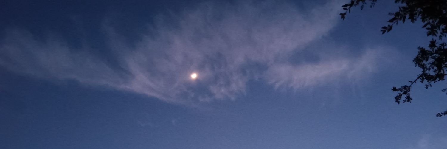 Cardo 🛸 banner