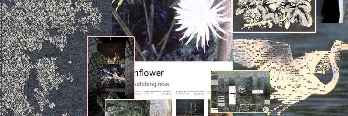 ROSIERPROPHECY's profile banner image