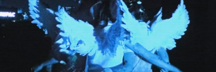 cat 😼 banner