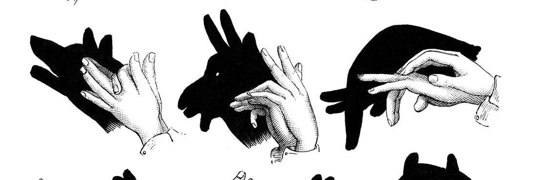 taylormoyle's profile banner image