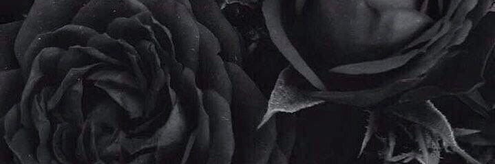 dshsrv's profile banner image