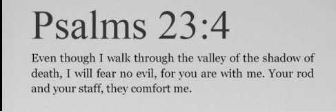 Carson Lockman banner