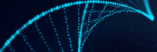 elpidatx Profile Banner