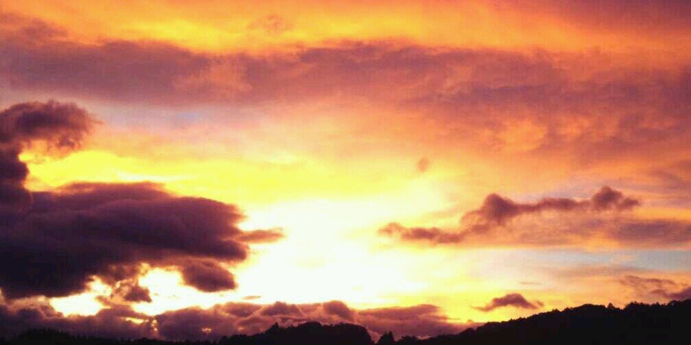 rei0101imo's profile banner image