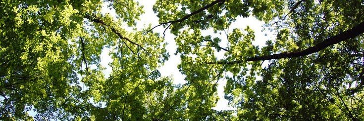 bethclawrr's profile banner image