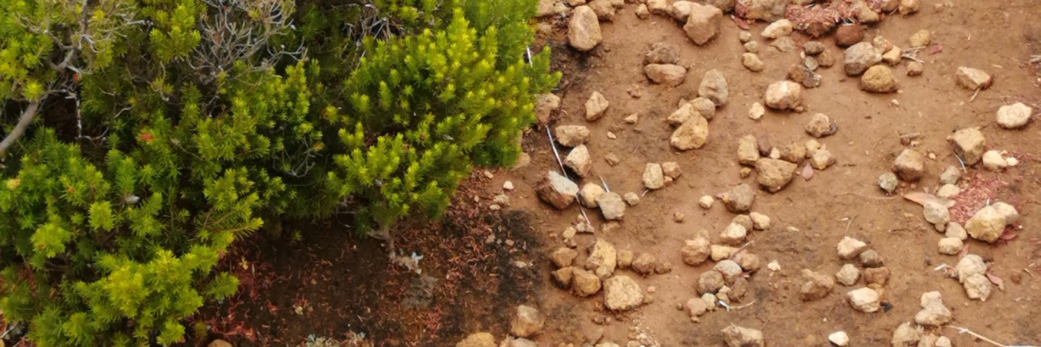 Barbara Pirillo banner