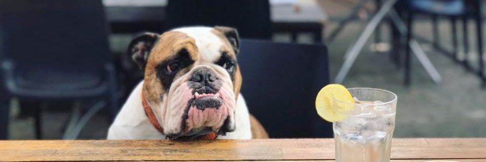 Brasil Houston banner