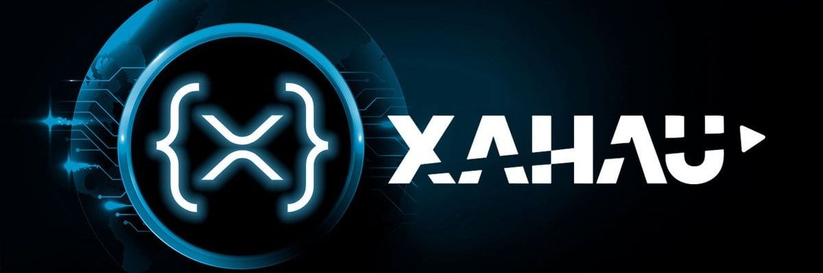 XRPLPlayerOne's profile banner image