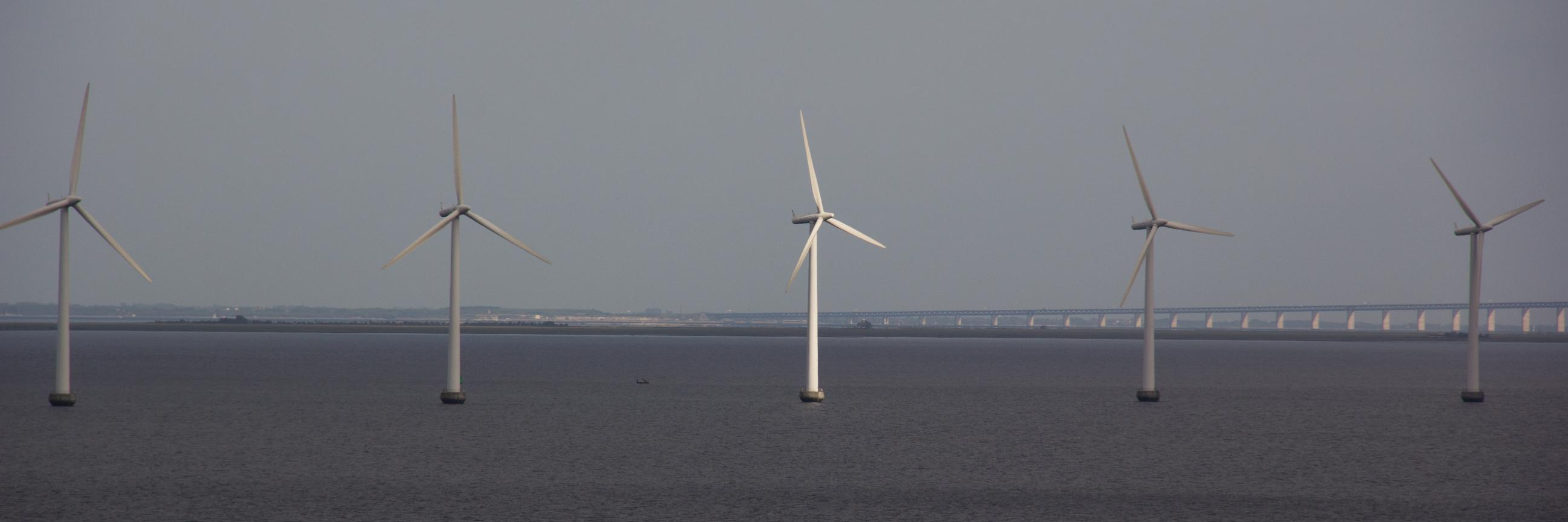 Alberto Martinez banner