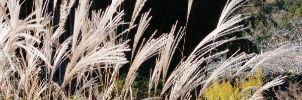 eru968 Profile Banner