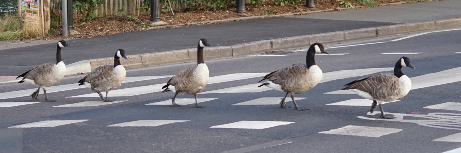 tef's locked account banner