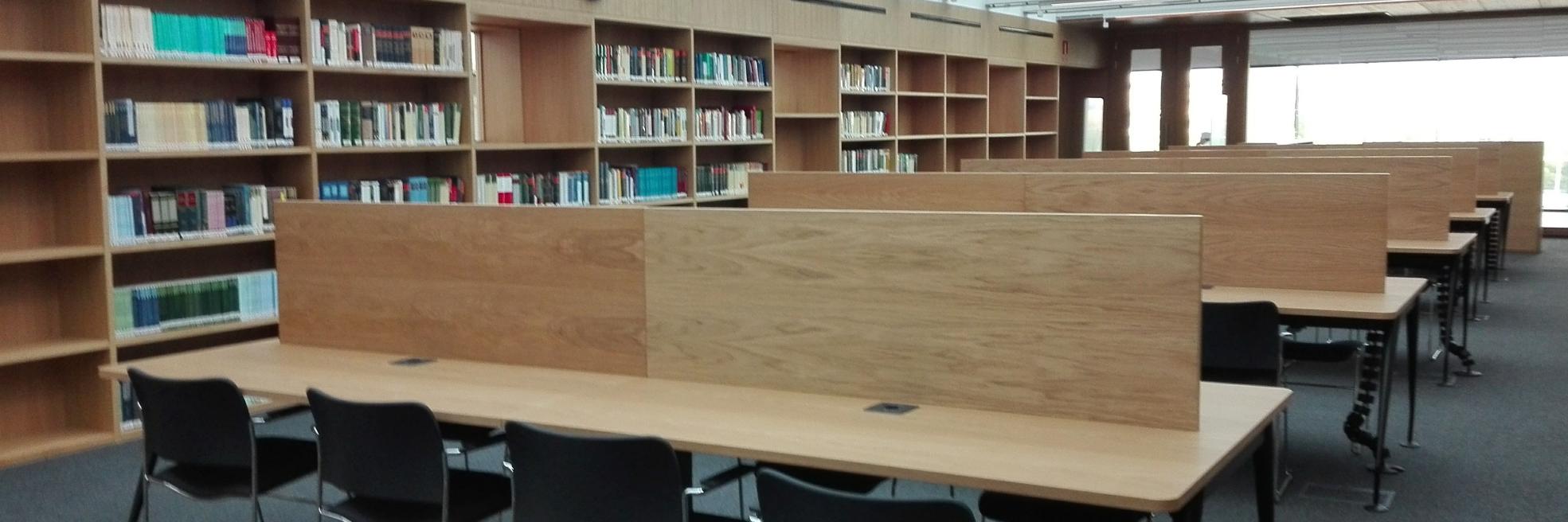 Rocío Serrano banner