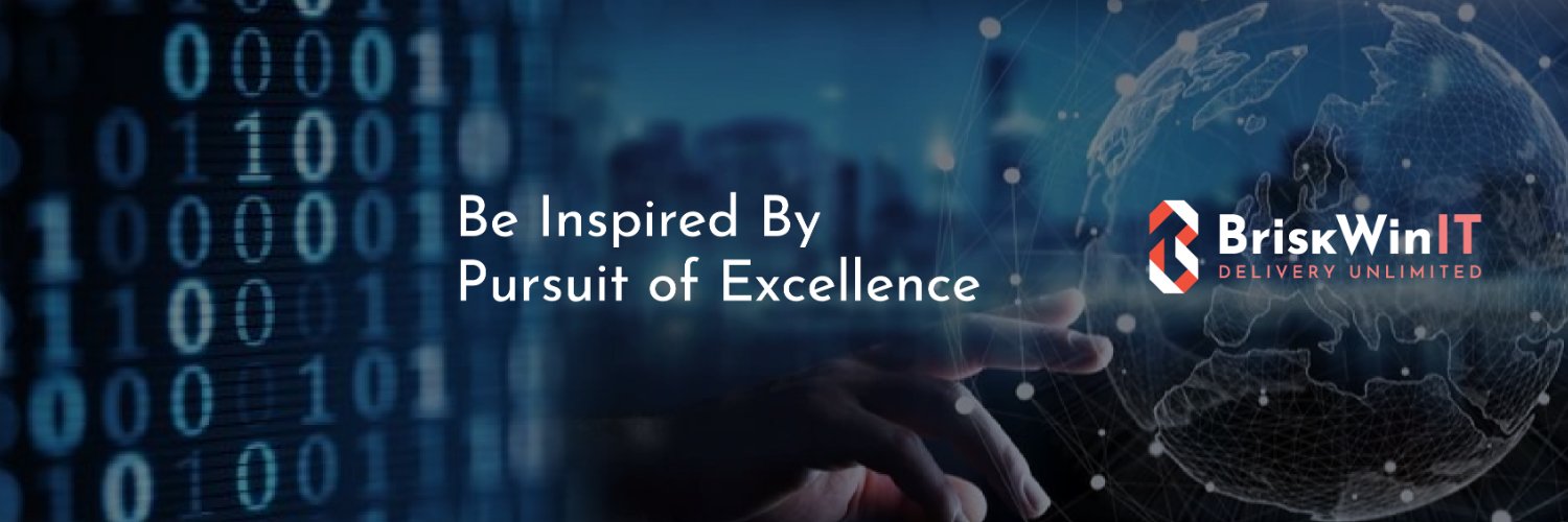 BriskWin IT Solutions banner