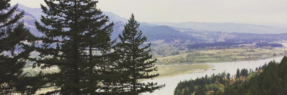 JudyBankman's profile banner image