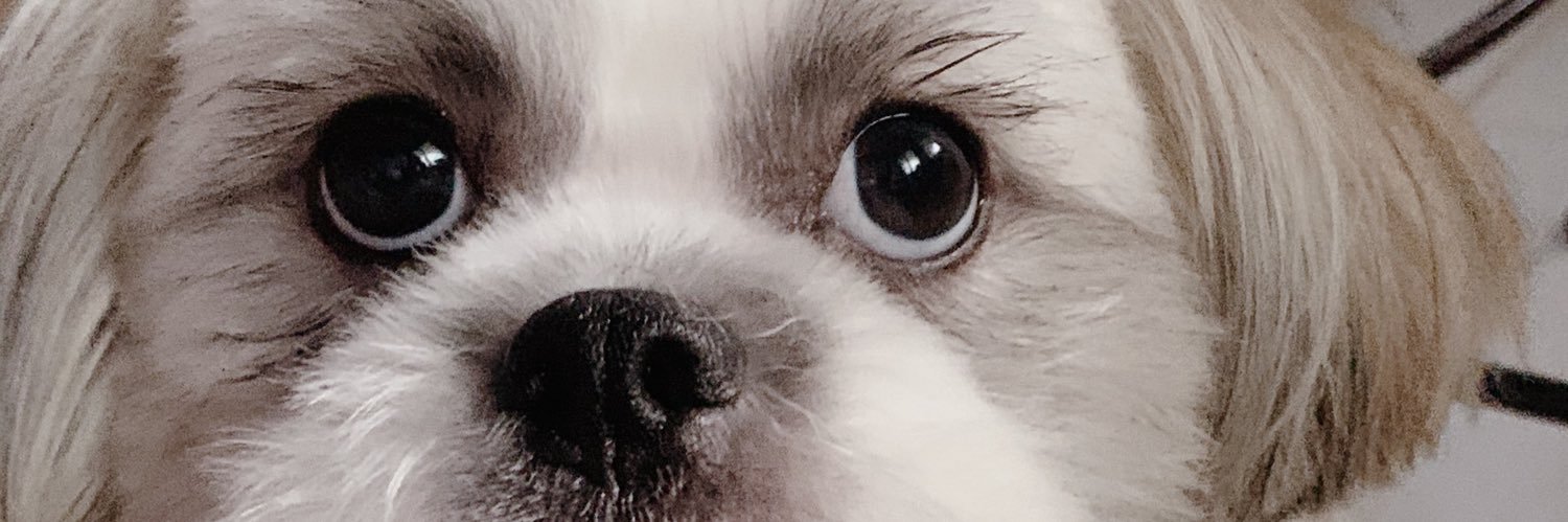 glenmae_'s profile banner image