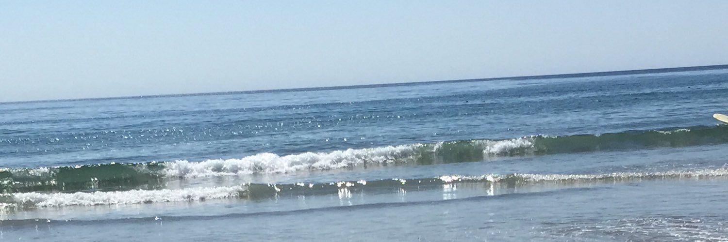 Carol Doman banner