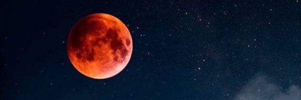 madense's profile banner image
