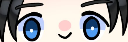 Ricconater banner