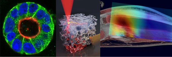 3R_BioMedicUS Profile Banner