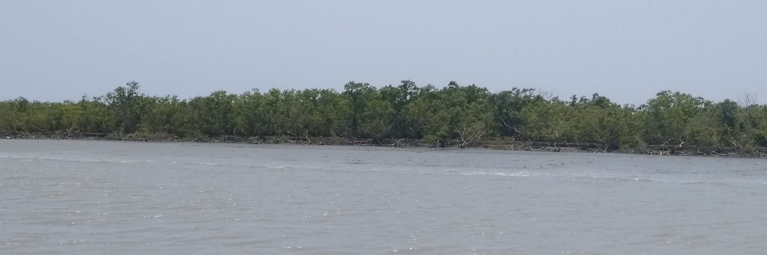 SundarbansSTS banner