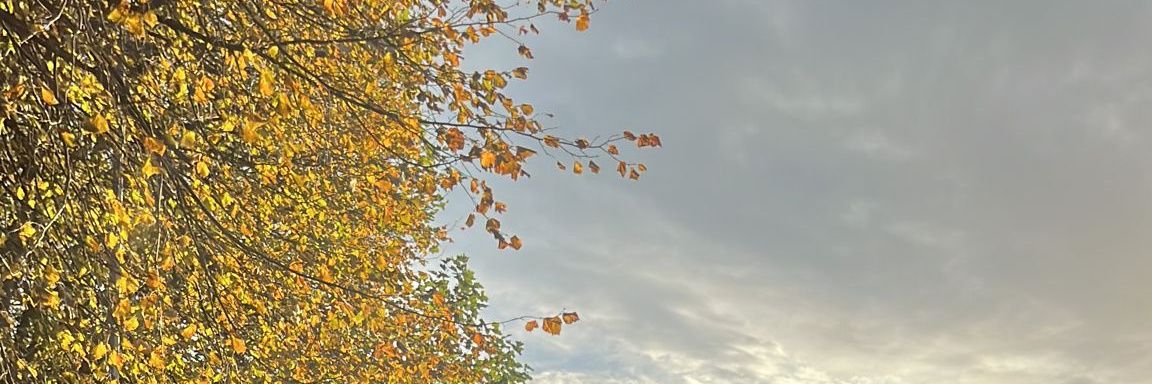 Pablod_bc's profile banner image