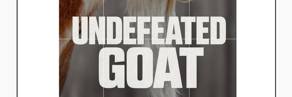 tint_mann Profile Banner